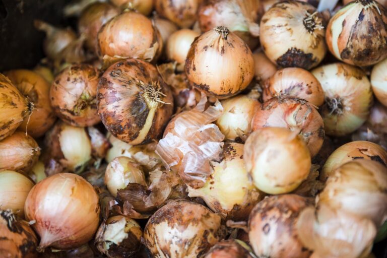 Sálvate si puedes: analizó cuál fue la suba promedio de los productos del agro y el resultado dio una gran sorpresa