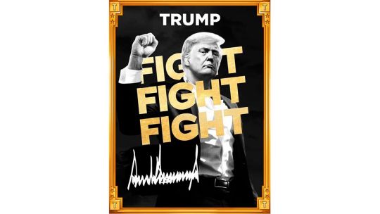 El memecoin de Trump, una experiencia lejana a la de Argentina