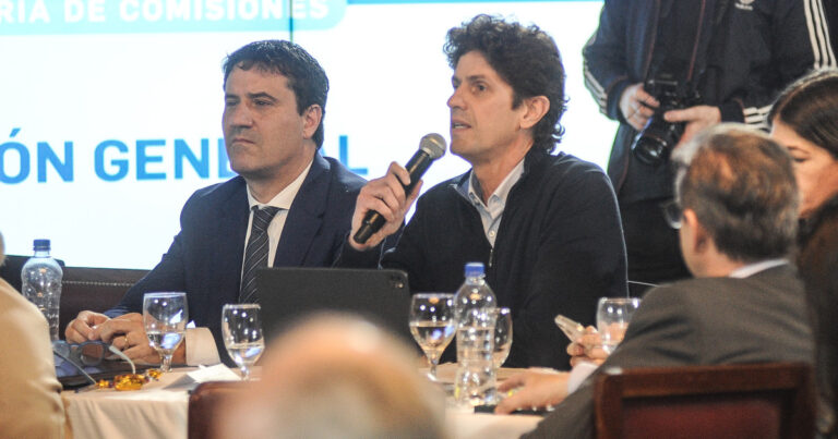 Bronca, reproches y acusaciones de destitución tensionan la interna radical en el Senado