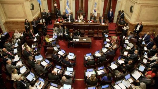Medina: El DNU no es más que un cheque en blanco para negociar