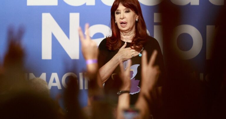 Si el Congreso sanciona Ficha Limpia, Cristina puede ser candidata en Provincia?