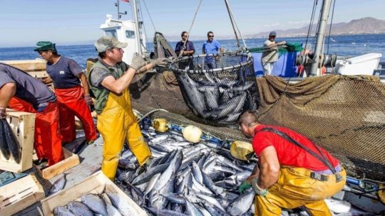 Sector pesquero: El cultivo está erosionando la pesca salvaje del mar argentino