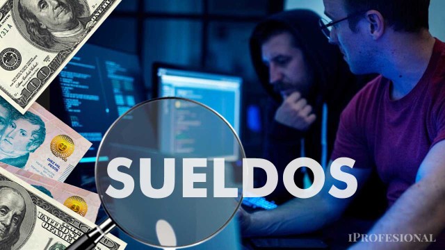Ganan más que muchos gerentes: cuánto cobran los expertos en seguridad informática en Argentina