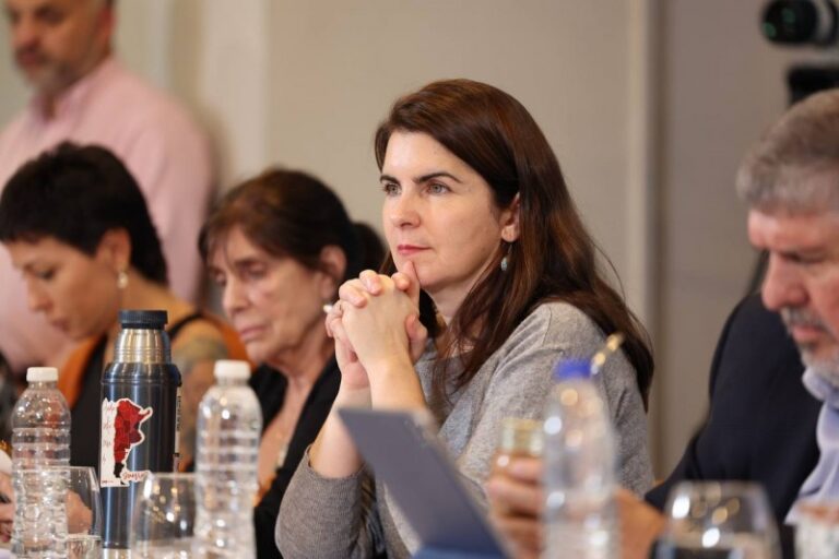 Mariel Fernández: «Esto es una persecución al peronismo»