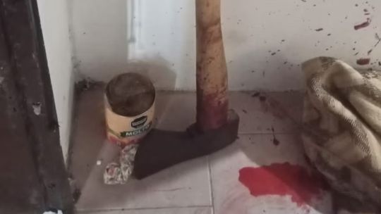Estrangulamiento y 50 hachazos: qué reveló la autopsia de la mujer decapitada por su hijo