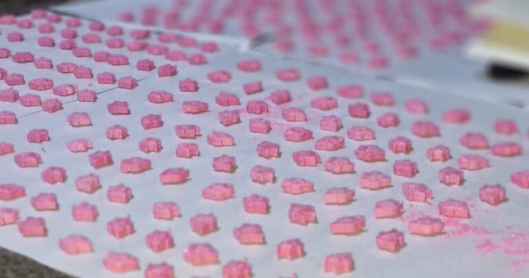 El diablo disfrazado de éxtasis: desmantelan un laboratorio que producía más de 13 mil pastillas en el GBA