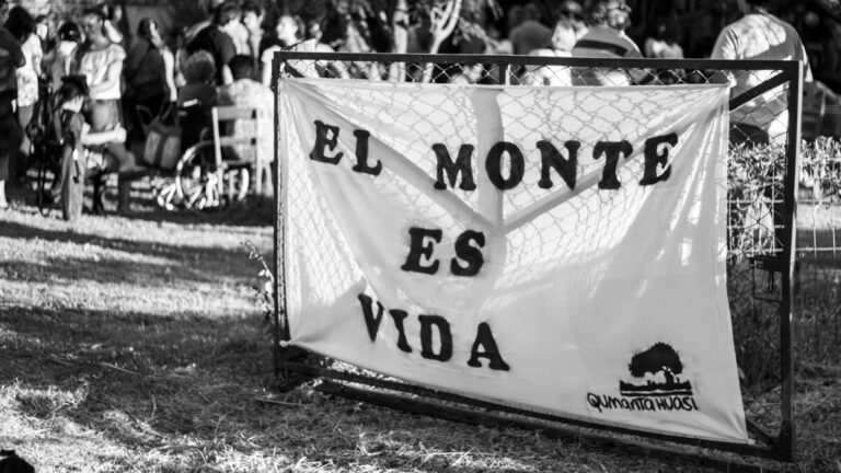 Córdoba. El gobierno oculta los datos del desmonte