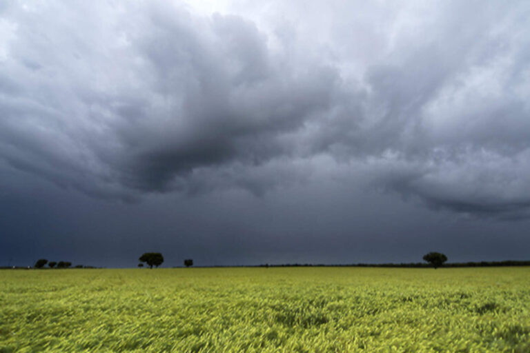 Tormenta de Santa Rosa en Córdoba: llegan lluvias y baja la temperatura