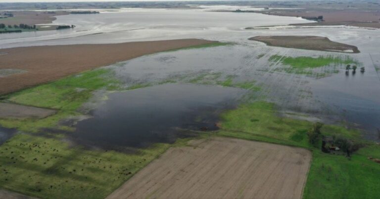 Por las inundaciones y la falta de obras, peligra la producción de trigo