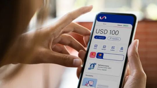 Provincia de Buenos Aires: Billeteras virtuales deberán retener ingresos brutos