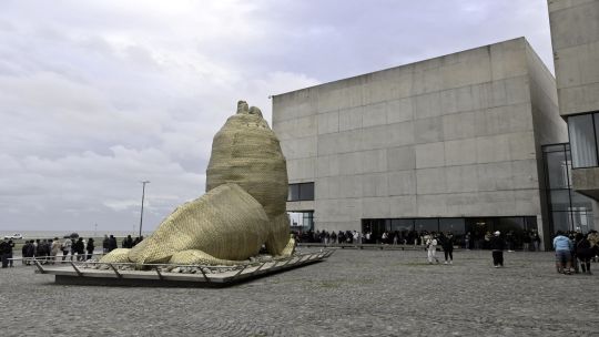 Brutal pelea en Mar del Plata: fueron al museo y terminaron a los golpes por su ex